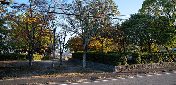 丸山公園